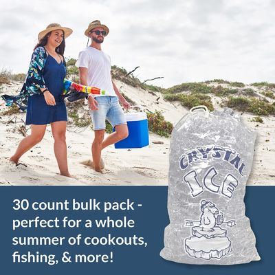 Frigorífico plástico Cubo de gelo Saco de plástico personalizado Durável Reutilizável Mercantile 10 Lb Sacos