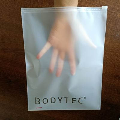 Logotipo personalizado PET/PE CPP Zip Lock Pouch Packaging para cosméticos congelados e roupas de banho