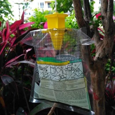 Caçador de moscas de PVC de tamanho personalizado Cage Fliegentasche para controle de moscas em qualquer ambiente