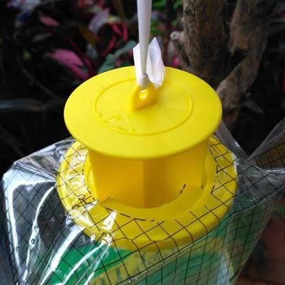 Caçador de moscas de PVC de tamanho personalizado Cage Fliegentasche para controle de moscas em qualquer ambiente