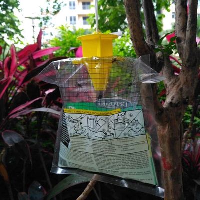 Caçador de moscas de PVC de tamanho personalizado Cage Fliegentasche para controle de moscas em qualquer ambiente