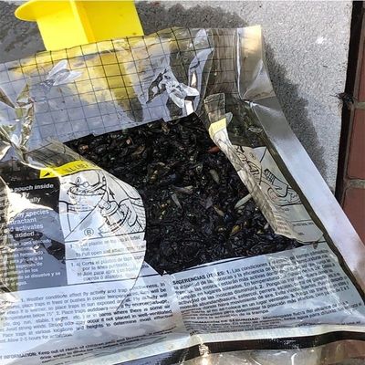 Caçador de moscas de PVC de tamanho personalizado Cage Fliegentasche para controle de moscas em qualquer ambiente