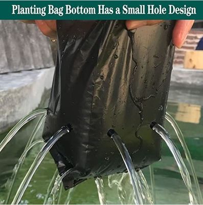 Saco de plástico para planta de jardim planta de frutas vegetais florista